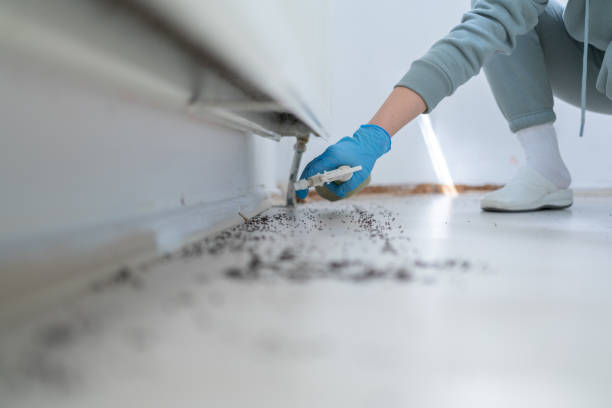 Trusted Tampa, FL Pest Control Experts